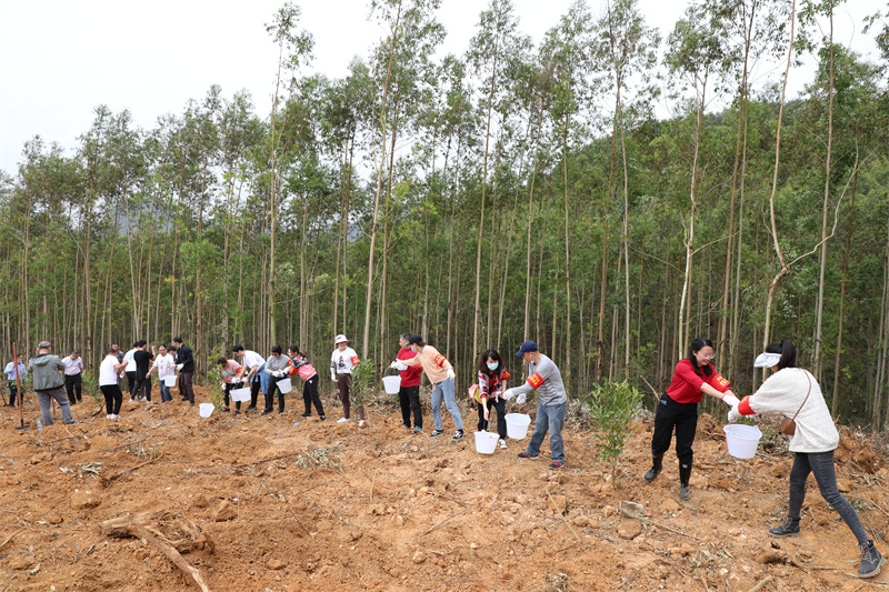 /QJ_793947102189.jpg 6.傳遞送水澆灌樹苗(陳華萍攝).jpg