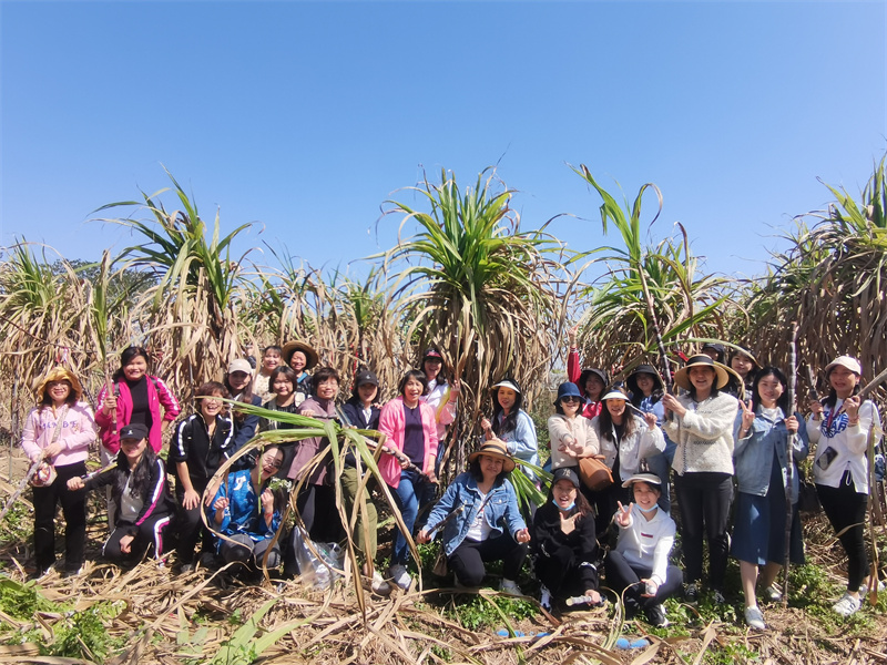 /QJ_724687303169.jpg 體驗(yàn)“拔甘蔗”項(xiàng)目(李秋田).jpg