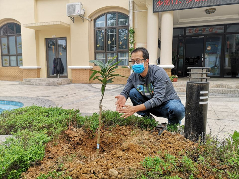 /QJ_409363702653.jpg 種好的樹木生機(jī)盎然_副本.jpg