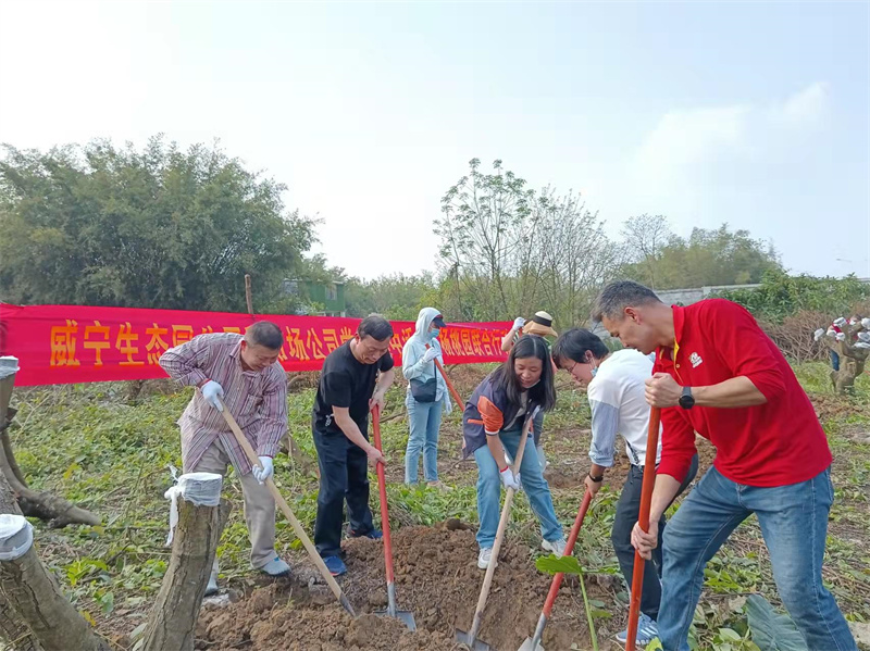 /QJ_793998658325.jpg 生態(tài)園公司志愿活動(dòng)2(蒙藝婷).jpg