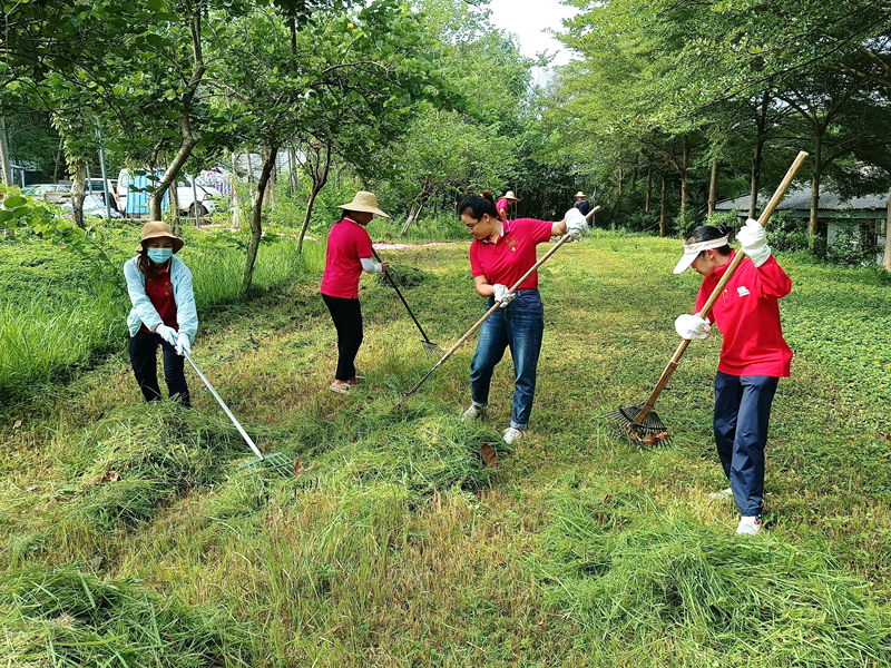 /QJ_538061656748.jpg 清理園區(qū)雜草.jpg