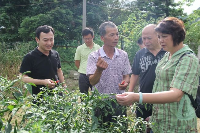 /QJ_985046588119.png QQ截圖20200519090739.png